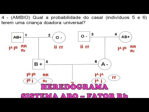 ABO System and Rh Factor (blood) Exercises