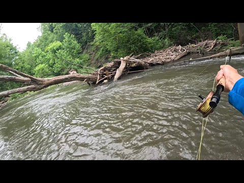 How to Streamer Fish | Streamer Strikes at First Light for Big Browns!