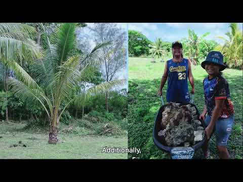 Premi&egrave;res actions encourageantes pour la restauration de la nature et le renforcement de la r&eacute;silience climatique &agrave; Niue