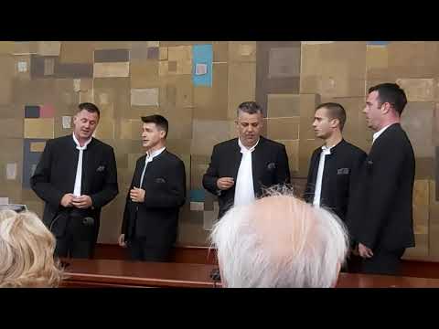 Klapa Vinčace Kad se Pavle ženjaše