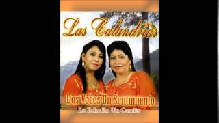 LAS CALANDRIAS  LO ECHE EN UN CARRITO