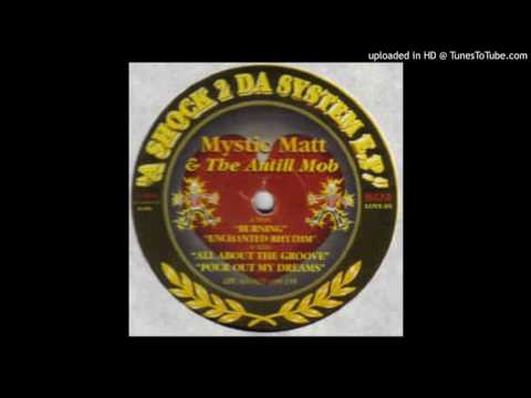 Mystic Matt & Anthill Mob - Enchanted Rhythm