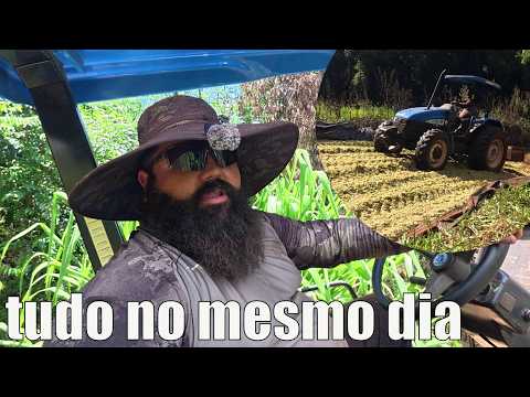 fizemos todo o serviço da silagem no mesmo dia