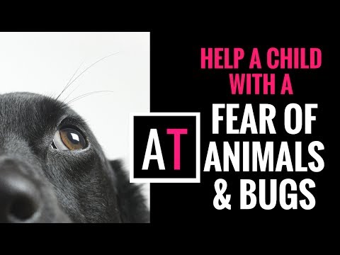 Does Your Child Have a Fear of Animals or Insects – Learn How to Help Them.