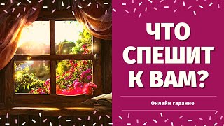 ЧТО СПЕШИТ В ВАШУ ЖИЗНЬ? ЧТО ХОРОШЕЕ ВАС ЖДЕТ ПО СУДЬБЕ? КАК ИЗМЕНИТСЯ МОЯ ЖИЗНЬ? расклад на судьбу