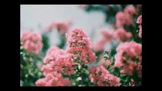 Alise Joste - Fleecy Clouds