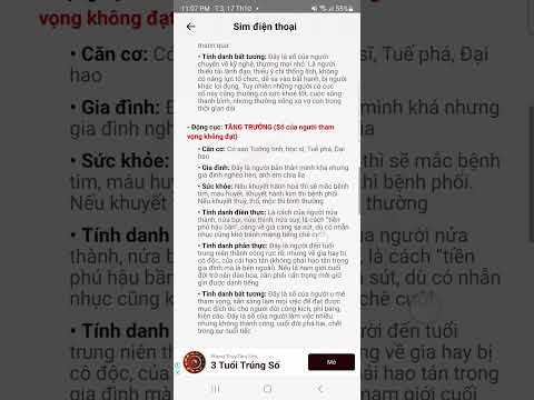 Sim Phong Thủy