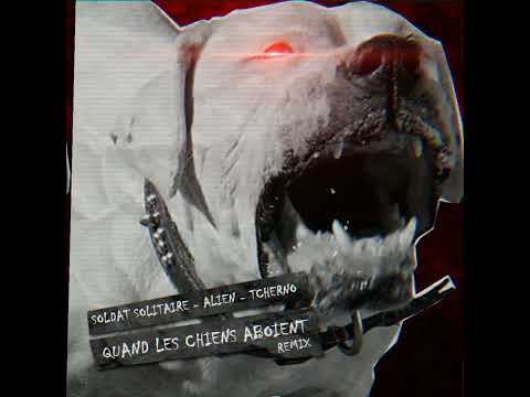 Soldat Solitaire x Alien x Tcherno - Quand les chiens aboient (Bagdad Musik Remix)