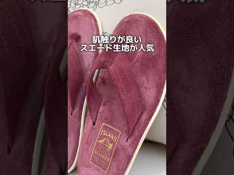 園芸 Calceolar calynospsis、小さなスリッパ