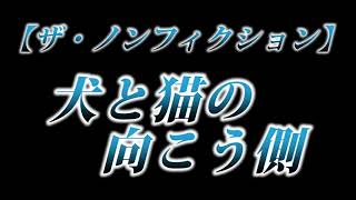 カニラジ第２２７回放送【ザ・ノンフィクション『犬と猫の向こう側』】を見た！