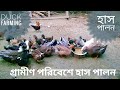 গ্রামীণ পদ্ধতিতে হাঁস পালন  | Hash Palon | Duck farm in Bangladesh