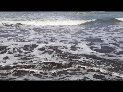 Relaxing Video #shrivardhan #sea #seawaves #shorts#getaway #peaceful #satisfyingvideo #nature #beach
