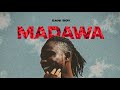 Sani Boy Madawa Official Audio