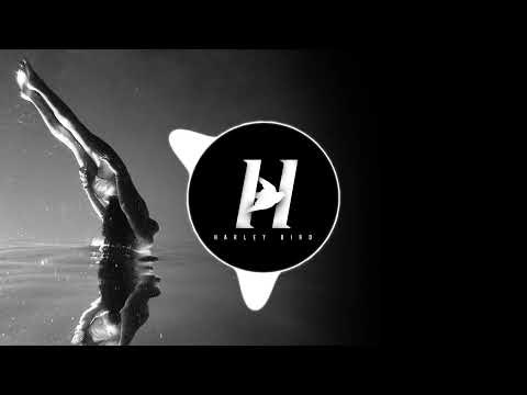 lucky low x harley bird - without you