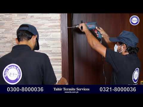 Termite treatment walkthrough video thumbnail