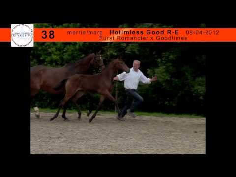 38. Hotimless Good R-E (Fürst Romancier x Goodtimes)