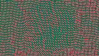 R. Stevie Moore ~ I Don't Think She Knows - complete (1978)