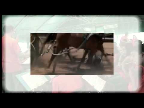 7 - THE GLADIATORS - Hans Zimmer e Miklos Rozsa / arr. R.Philippe