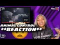 Baby Smoove Animal Control Official Music Video REACTION