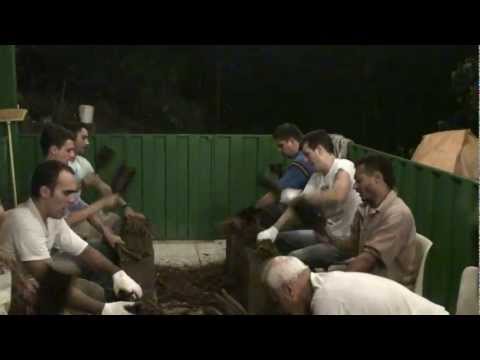 BATEÇÃO NO FEITIO DE ABRIL DE 2010 - FLOR DE JAGUBE