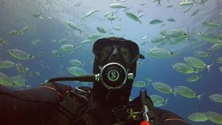 preview picture of video 'Diving Comino Gozo & Malta Tuna Farms 2014'