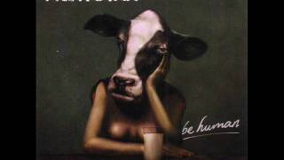 Mercury Summer (Official) Fightstar