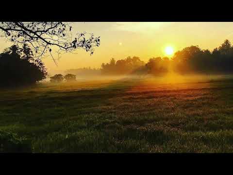 කුක්කු කූක් කූක් කුකුල් නින්ද හමාරයි... රෝහන බැද්දගේ