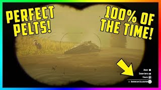How To Hunt PERFECT Animal Pelts/Parts Every Time & EASY Legendary Animals In Red Dead Redemption 2!