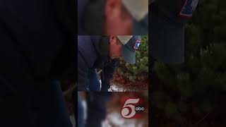 A salt alternative is available for free in the east metro this winter