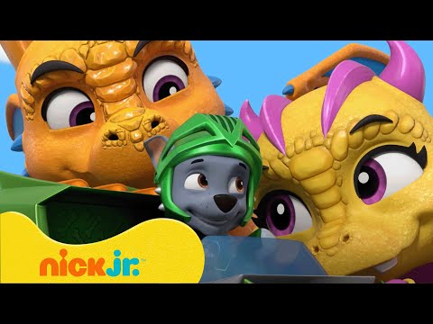 PAW Patrol | Besten Tierbaby-Rettungsaktionen der PAW Patrol! Mit Affen- und Drachenbabys | Nick Jr.