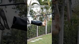Front Lever Raise demonstration thumbnail