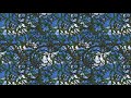 Donkey Kong Country 2 Stickerbush Symphony 1 Hour