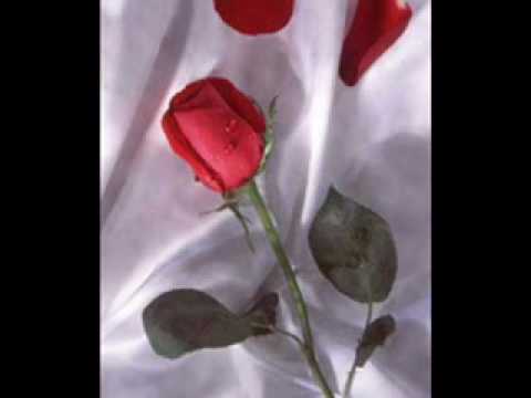 dj doğan 71 hatice b!ls€yd!m mix.wmv