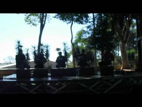 Quarteto Café e Gabriel Grossi// Caminhando (Nelson Cavaquinho )