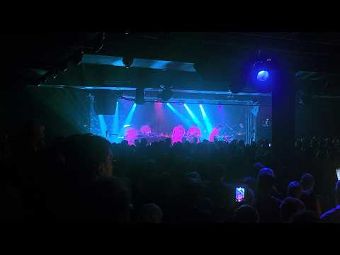 ¡Locura total! Mike D revive el clásico de Beastie Boys \