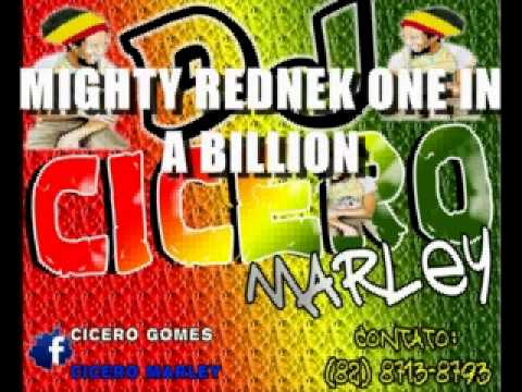 MIGHTY REDNEK ONE IN A BILLION