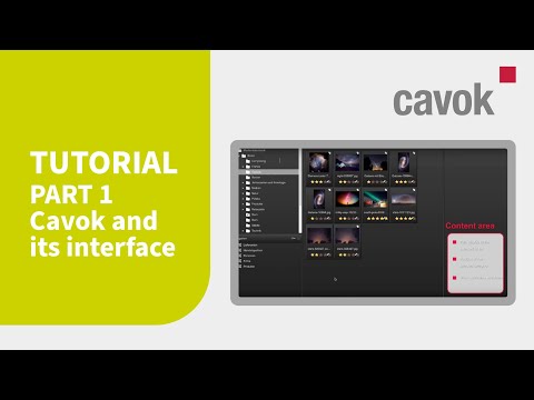 Digital Asset Management: Cavok and its interface (Tutorial)