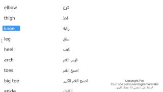 تعلم كلمات اللغة الانجليزية الدرس 40 اعضاء جسم الانسان بالانجليزي الجزء 5