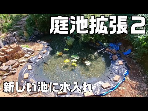 庭の水生池 - 建設手順と感動的な写真!  庭園