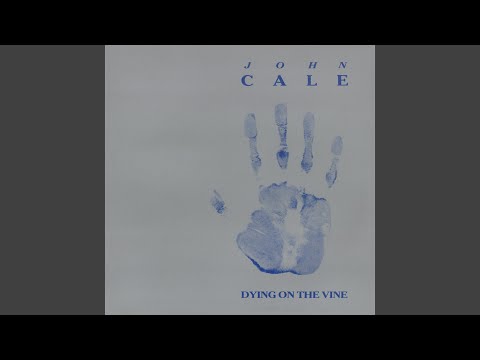 Videoclip de Everytime the Dog Barks — John Cale