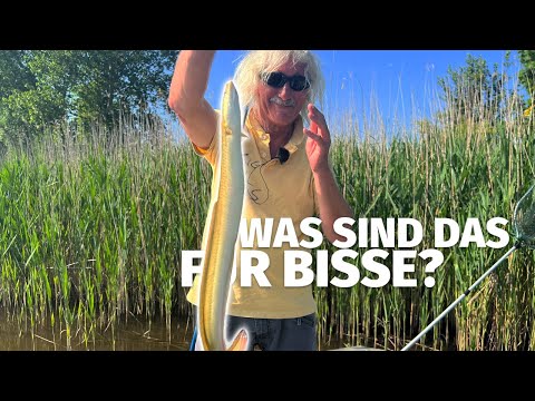 UNGLAUBLICHE BISSFREQUENZ - JÖRG OVENS auf AAL (oder auch nicht?) - 'Fang mal was' (23)