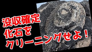 没収確定化石をクリーニングせよ！