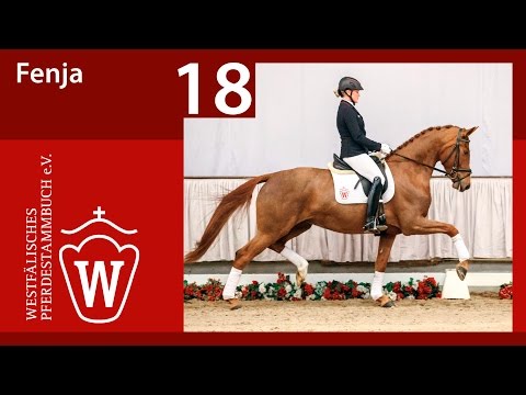 18 Fenja Stute v. Franziskus - Londonderry