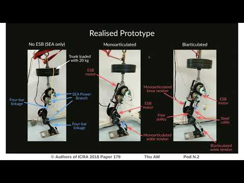 Design of a Novel 3-DoF Leg with Series and Parallel Compliant Actuation for Energy Efficient Articu