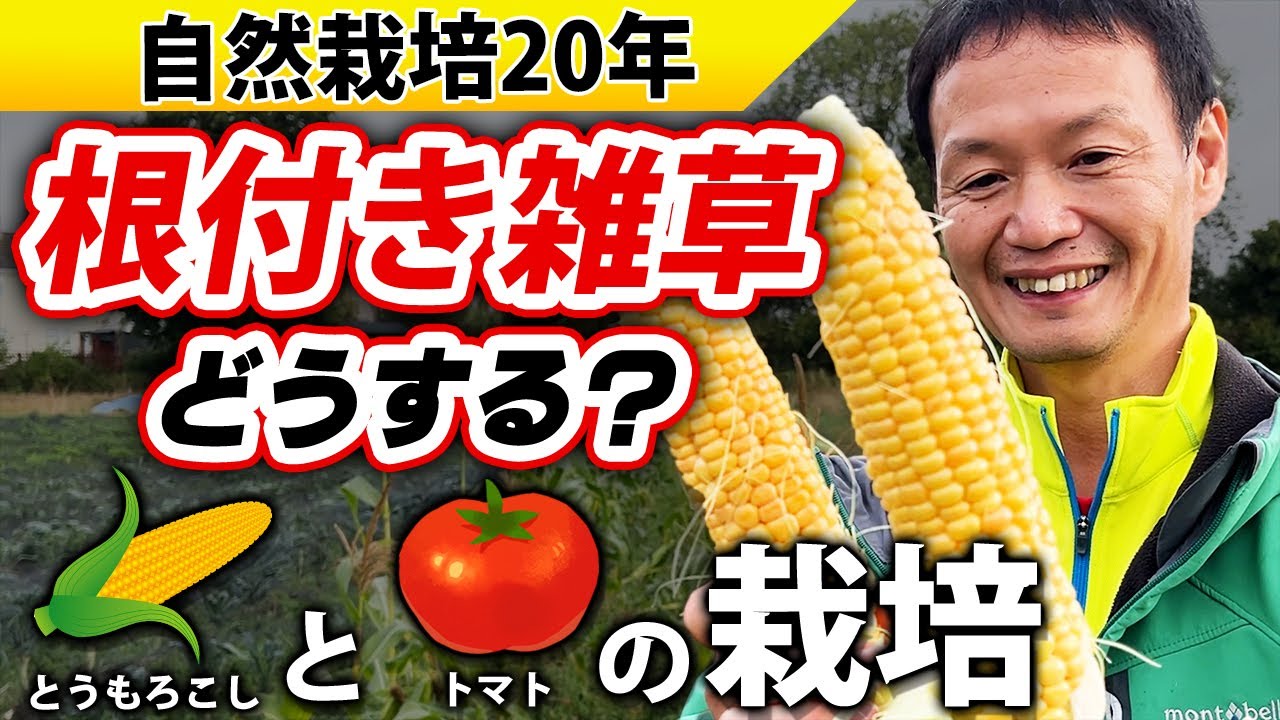 自家採種と連作で作物が土地に適応する