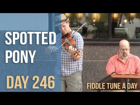 Spotted Pony - Fiddle Tune a Day - Day 246