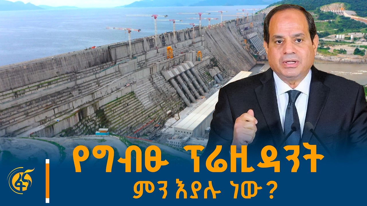 የግብፁ ፕሬዚዳንት ምን እያሉ ነው? #ፋናወቅታዊ