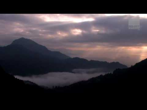 Club Des Belugas - La Mer