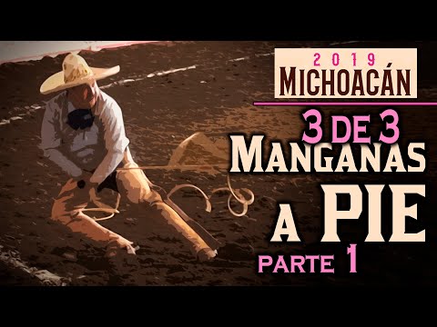 3 of 3 MANGANAS ON FOOT Part 1 - Morelia Congress 2019