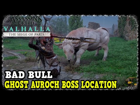 Assassin's Creed Valhalla Ghost Auroch Boss Location (The Siege of Paris) Bad Bull Trophy Guide
